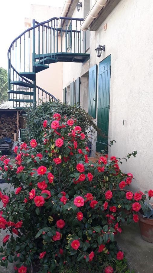 Studio Grau Du Roi Avec Jardin เลอ โกร-ดู-รัว ภายนอก รูปภาพ